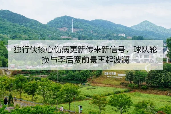 独行侠核心伤病更新传来新信号，球队轮换与季后赛前景再起波澜